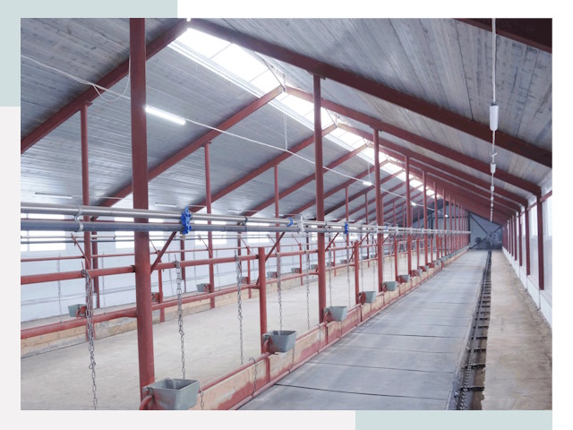 Строительство коровников в Кизилюрте от 620 руб.