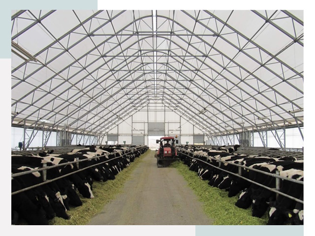 Тентовые коровники в Кизилюрте от 620 руб. - Надежно и доступно